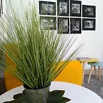 Le Mandragole 3* רונקאדה