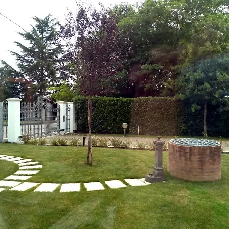 Le Mandragole