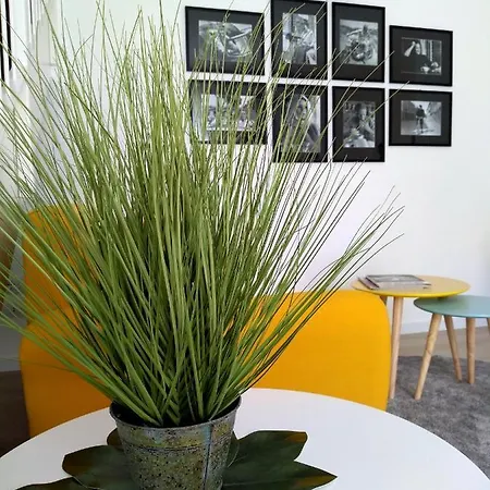 Le Mandragole 3* Roncade