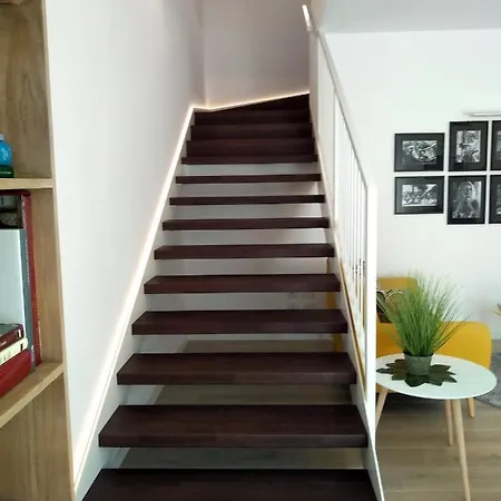 Le Mandragole רונקאדה